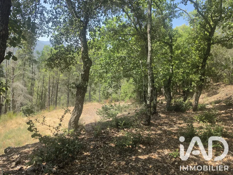 Terrain agricole à Reynés (66400) · 36 000 €