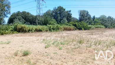 Farm land in COMPS  (30300)