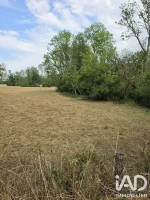 Terrain à Langres (52200)