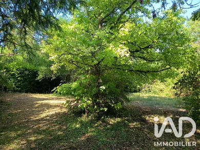 Terrain à bâtir à Doué-en-Anjou (49700)