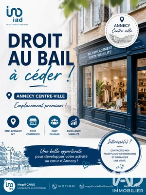 Droit au bail à Annecy (74000)