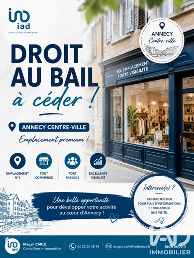 Droit au bail à Annecy (74000)