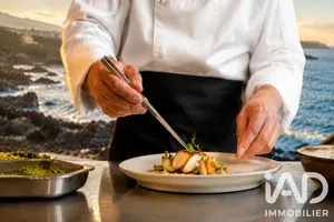 Restaurant in Agde (34300)