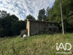 House in Bonvillet (88260)