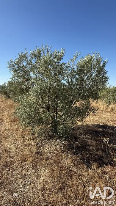 Farm land in Paulhan (34230)
