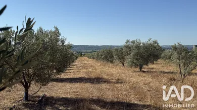 Farm land in Paulhan (34230)