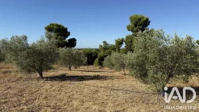 Farm land in Paulhan (34230)