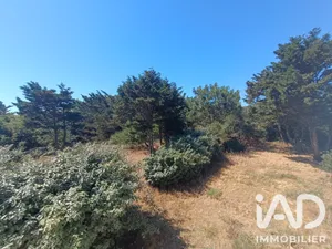 Architectural house in La Tranche-sur-Mer (85360)