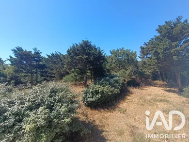 Architectural house in La Tranche-sur-Mer (85360)