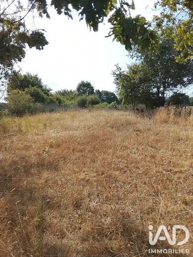Farm land in Soulaines-sur-Aubance (49610)