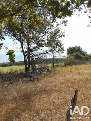 Terrain agricole à Soulaines-sur-Aubance (49610)