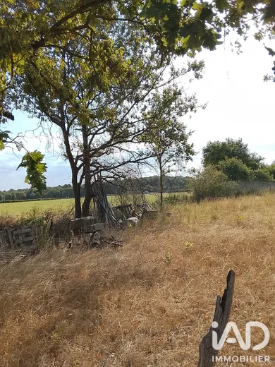 Farm land in Soulaines-sur-Aubance (49610)