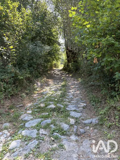 Terrain à Theys (38570)