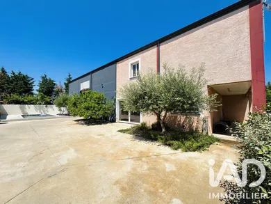 Mas à Saint-Thibéry (34630)
