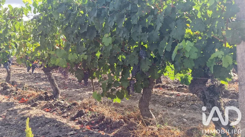 Terrain agricole à Avoine (37420) · 49 000 €