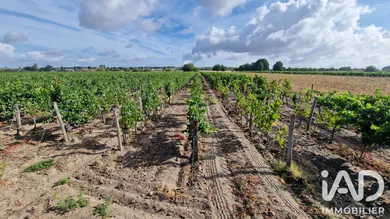 Terrain agricole à Avoine (37420)