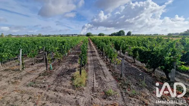 Terrain agricole à Avoine (37420)