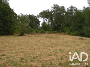 Terrain à bâtir à Campsegret (24140)