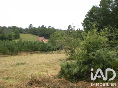 Terrain à bâtir à Campsegret (24140)