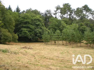 Terrain à bâtir à Campsegret (24140)