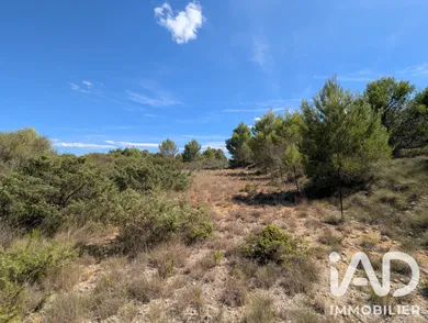 Terrain à Saint-Pargoire (34230)