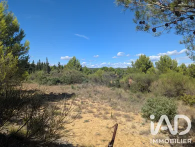 Terrain à Saint-Pargoire (34230)