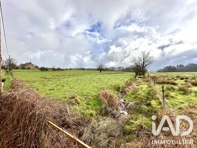Land in Sévigny-la-Forêt (08230)