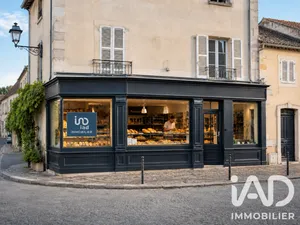 Murs commerciaux à Palluau (85670)