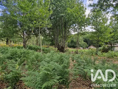 Building plot in Saint-Benoît-la-Forêt (37500)