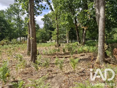 Building plot in Saint-Benoît-la-Forêt (37500)