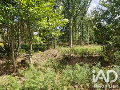 Building plot in Saint-Benoît-la-Forêt (37500)