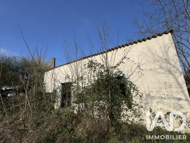 Maison à La Chapelle-sur-Loire (37140)