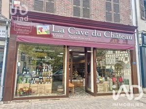 Divers Commerces à Château-Renard (45220)