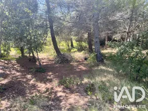 Building plot in Villeneuve-Minervois (11160)