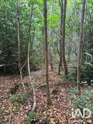 Land in la croix aux bois (08400)