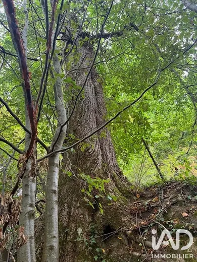 Land in la croix aux bois (08400)