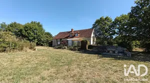 House in Couddes (41700)