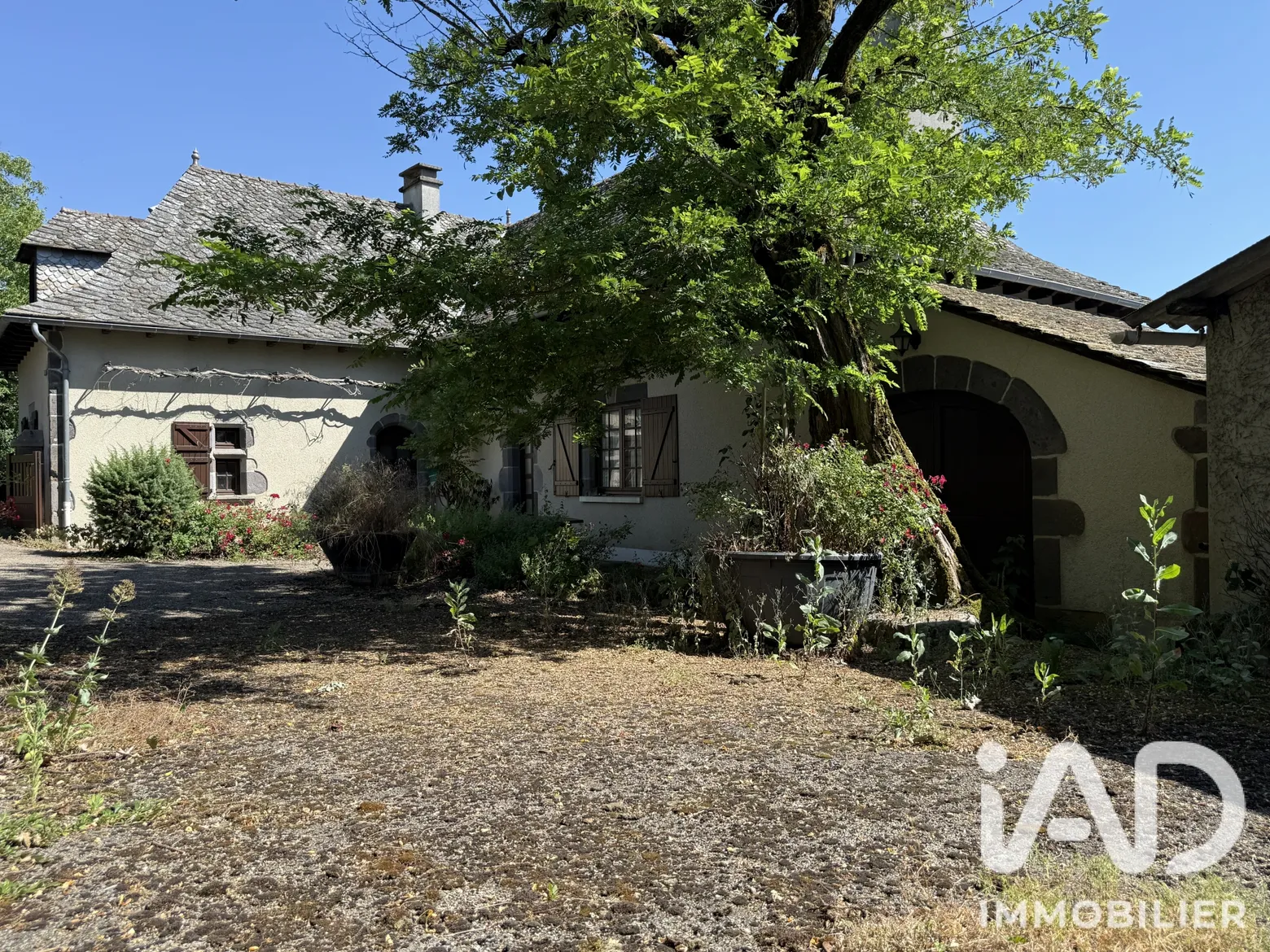 Vente maison à Saint-Hippolyte (12140) : maison de campagne 10 pièces 235 m² - 2084549 — 3
