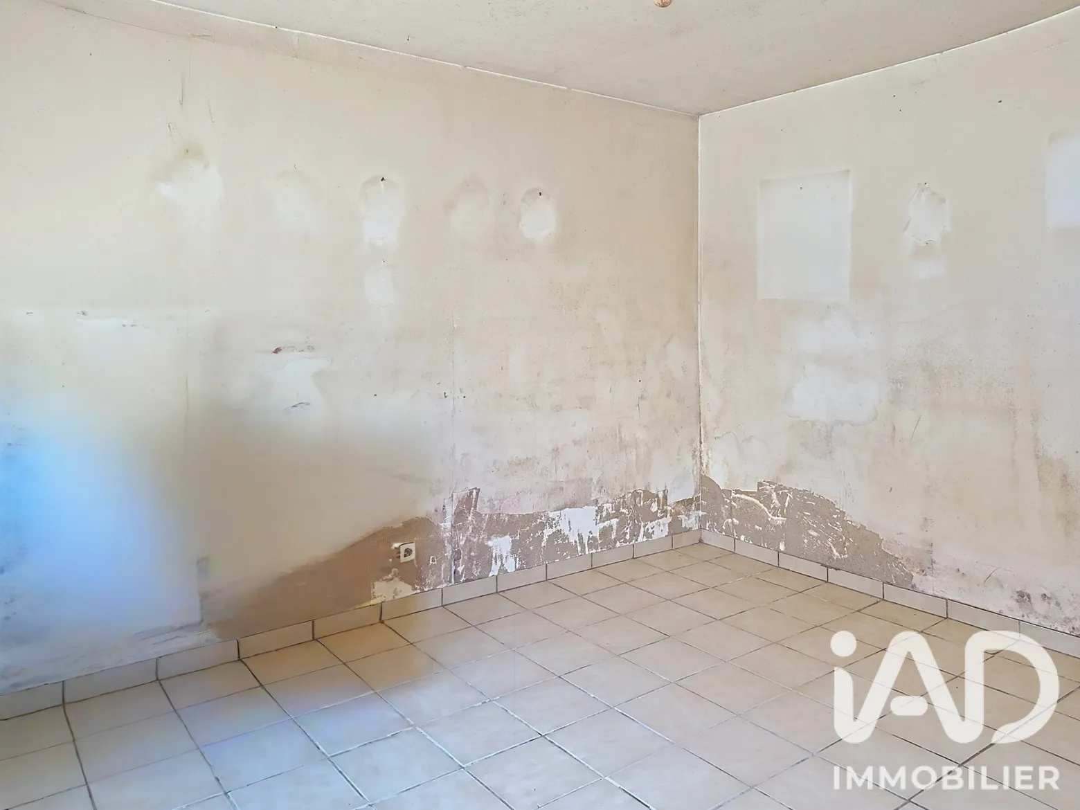 Vente maison à Aillant-sur-Milleron (45230) : maison de village 3 pièces 44 m² - 2078855 — 3