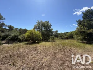 Terrain à bâtir à Mougins (06250)