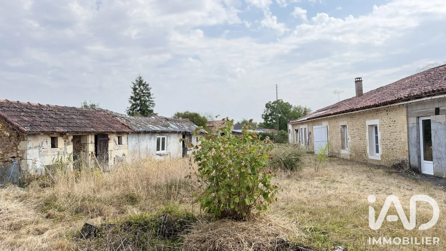 Vente maison à Champagné-Saint-Hilaire (86160) : maison de campagne 6 pièces 140 m² - 2109785 — 3