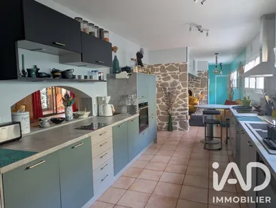 House in Arles-sur-Tech (66150)