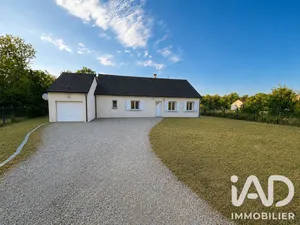 Traditional house in Pithiviers-le-Vieil (45300)