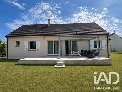 Traditional house in Pithiviers-le-Vieil (45300)