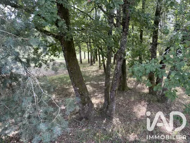 Terrain à Saint-Pardoux-la-Rivière (24470)
