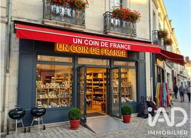 Divers Commerces à Amboise (37400)