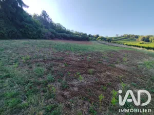 Terrain à bâtir à Monein (64360)