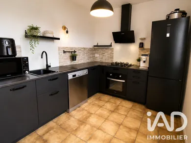 House in Nazelles-Négron (37530)