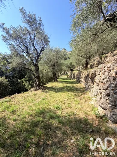 Terrain agricole à Gilette (06830)