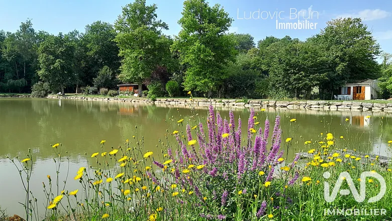 Terrain 54 m² · à Saints-en-Puisaye · 54 m² · 270 000 €